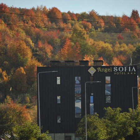 Hotel Angel Sofia Fălticeni Esterno foto